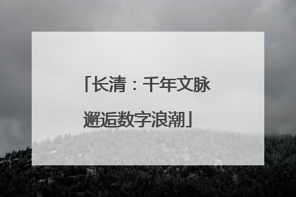 长清：千年文脉邂逅数字浪潮