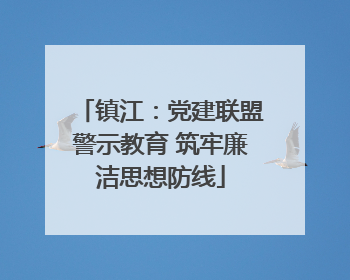 镇江：党建联盟警示教育 筑牢廉洁思想防线