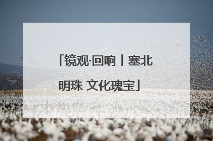 镜观·回响丨塞北明珠 文化瑰宝
