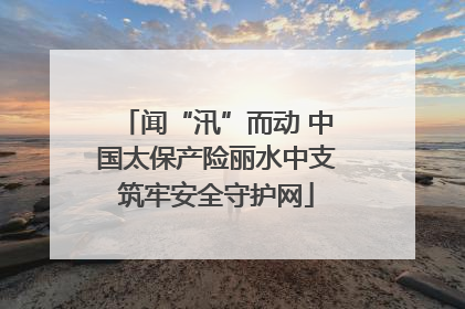 闻“汛”而动 中国太保产险丽水中支筑牢安全守护网