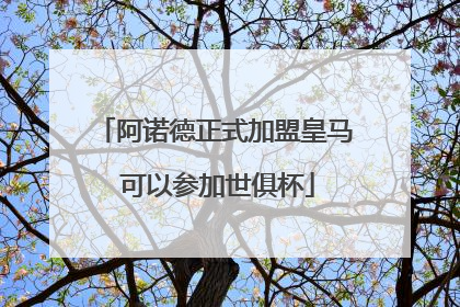阿诺德正式加盟皇马 可以参加世俱杯