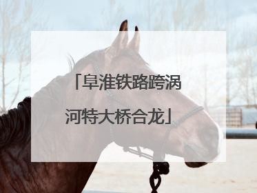 阜淮铁路跨涡河特大桥合龙