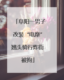 阜阳一男子改装“电摩”翘头骑行炸街被拘