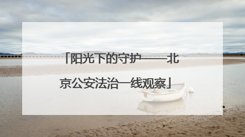 阳光下的守护——北京公安法治一线观察