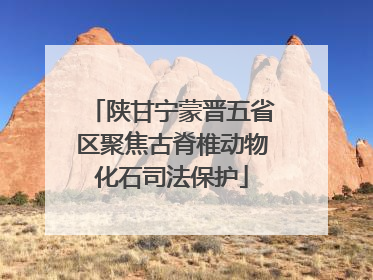 陕甘宁蒙晋五省区聚焦古脊椎动物化石司法保护