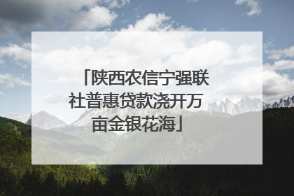 陕西农信宁强联社普惠贷款浇开万亩金银花海