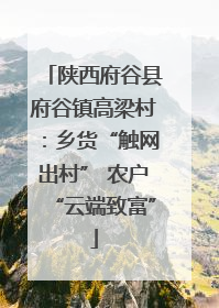 陕西府谷县府谷镇高梁村：乡货“触网出村” 农户“云端致富”