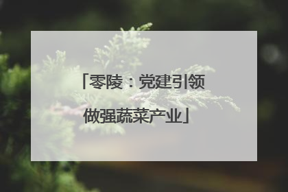 零陵：党建引领 做强蔬菜产业