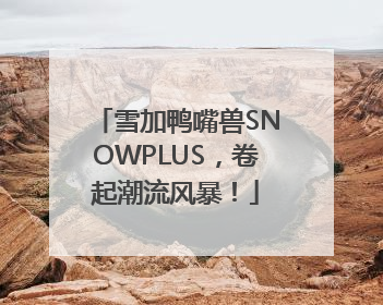 雪加鸭嘴兽SNOWPLUS，卷起潮流风暴！