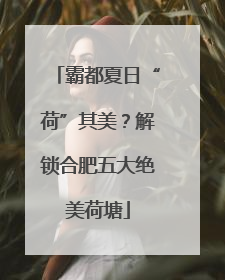 霸都夏日“荷”其美？解锁合肥五大绝美荷塘