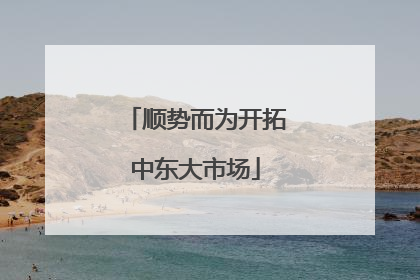 顺势而为开拓中东大市场