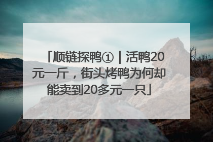 顺链探鸭①｜活鸭20元一斤，街头烤鸭为何却能卖到20多元一只