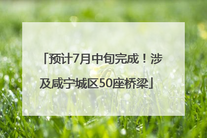 预计7月中旬完成！涉及咸宁城区50座桥梁