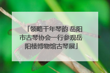 领略千年琴韵 岳阳市古琴协会一行参观岳阳楼博物馆古琴展