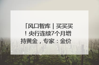 风口智库｜买买买！央行连续7个月增持黄金，专家：金价或仍易涨难跌