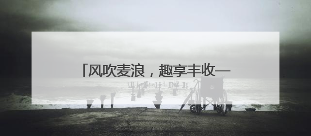 风吹麦浪，趣享丰收——五河县申集镇大李小学开展劳动教育实践活动