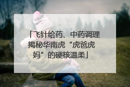 飞针给药、中药调理 揭秘华南虎“虎爸虎妈”的硬核温柔