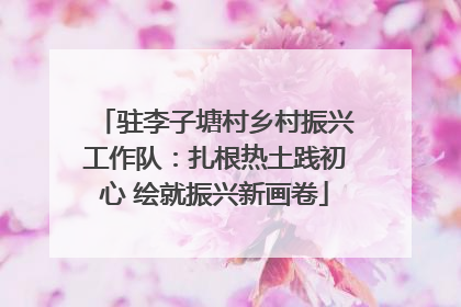 驻李子塘村乡村振兴工作队：扎根热土践初心 绘就振兴新画卷