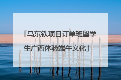 马东铁项目订单班留学生广西体验端午文化