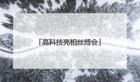 高科技亮相丝博会