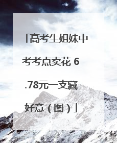 高考生姐妹中考考点卖花 6.78元一支藏好意（图）
