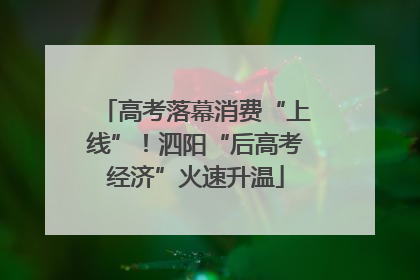 高考落幕消费“上线”！泗阳“后高考经济”火速升温