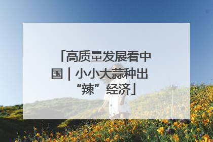 高质量发展看中国｜小小大蒜种出“辣”经济