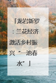 龙岩新罗：兰花经济激活乡村振兴“一池春水”