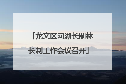 龙文区河湖长制林长制工作会议召开