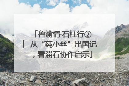 鲁渝情·石柱行② ︳从“莼小丝”出国记，看淄石协作启示