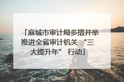 麻城市审计局多措并举推进全省审计机关 “三大提升年” 行动
