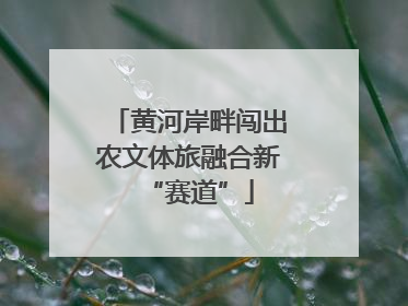 黄河岸畔闯出农文体旅融合新“赛道”