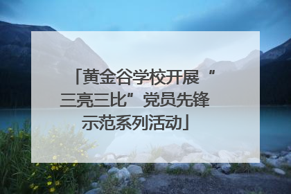 黄金谷学校开展“三亮三比”党员先锋示范系列活动