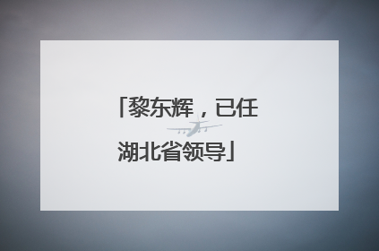 黎东辉，已任湖北省领导