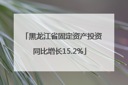 黑龙江省固定资产投资同比增长15.2%