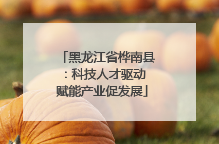 黑龙江省桦南县：科技人才驱动 赋能产业促发展