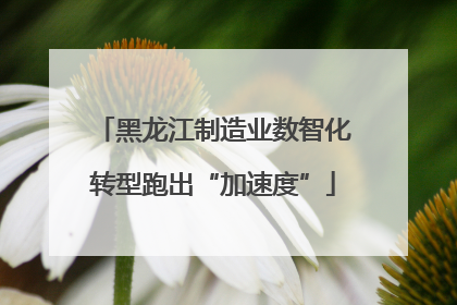 黑龙江制造业数智化转型跑出“加速度”