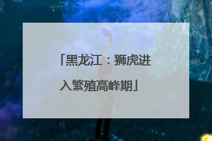 黑龙江：狮虎进入繁殖高峰期