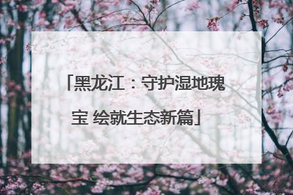 黑龙江：守护湿地瑰宝 绘就生态新篇