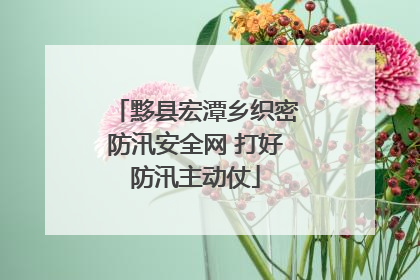 黟县宏潭乡织密防汛安全网 打好防汛主动仗