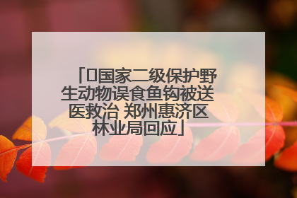 ﻿国家二级保护野生动物误食鱼钩被送医救治 郑州惠济区林业局回应