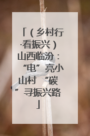 （乡村行·看振兴）山西临汾：“电”亮小山村 “碳”寻振兴路