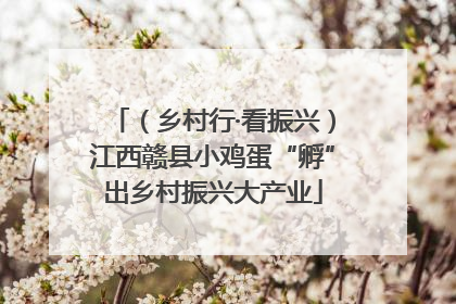 （乡村行·看振兴）江西赣县小鸡蛋“孵”出乡村振兴大产业
