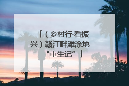 （乡村行·看振兴）赣江畔滩涂地“重生记”