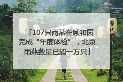 107只雨燕在颐和园完成“年度体检”，北京雨燕数量已超一万只