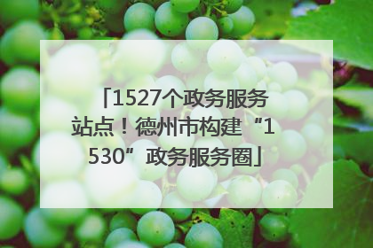 1527个政务服务站点！德州市构建“1530”政务服务圈