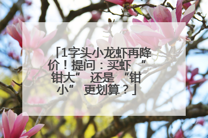 1字头小龙虾再降价！提问：买虾 “钳大” 还是 “钳小” 更划算？