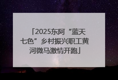 2025东阿“蓝天七色”乡村振兴职工黄河微马激情开跑