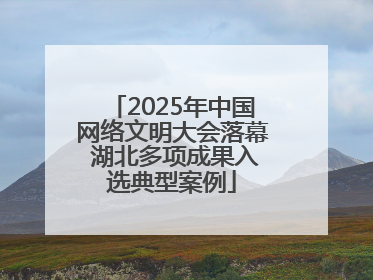 2025年中国网络文明大会落幕 湖北多项成果入选典型案例