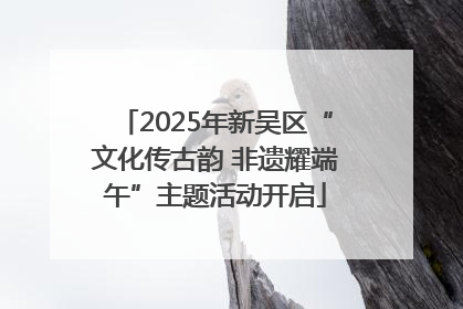 2025年新吴区“文化传古韵 非遗耀端午”主题活动开启